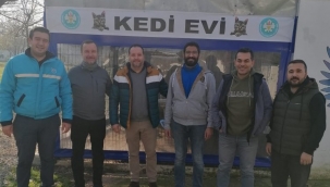 Kedi Evi'ne Babesia taraması 