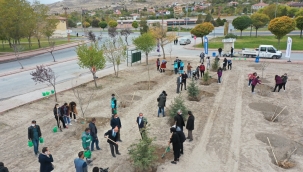 Kocasinan'da 2021 yılında 100 bin'in üzerinde ağaç toprakla buluştu
