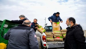 Kocasinan'da çiftçilere buğday tohumu dağıtıldı