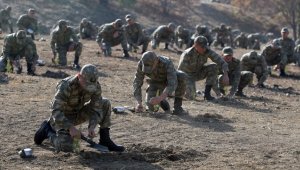 Mehmetçik'ten 'Yeşil Vatan'ın korunmasına büyük katkı