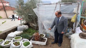 Öğrencilerin yediği meyvelerin çekirdeği fidana dönüşüyor