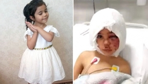 Pitbull saldırısında yaralanan Asiye'ye doku nakline başlandı