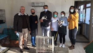 Şenol Güneş’ten Hayvanseverlere Destek