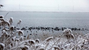 Sivas'ta kar yağışı nedeniyle 40 köy yolu ulaşıma kapandı