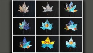 Sonbahar yapraklarını tablolara dönüştürüyor