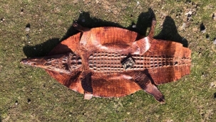 Suçüstü yakalandılar! 2 milyon dolara satacaklardı