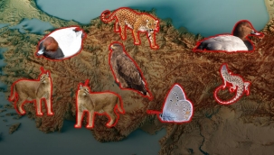 Ve kanıtlandı! Hâlâ aramızdalar…