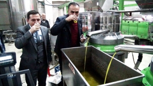 Zeytinyağında hileye dikkat