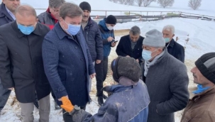Aksaray'da ağılın çatısı çöktü! 30 koyun telef oldu!