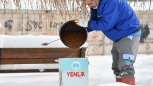 Aksaray’da sokak hayvanları besleniyor