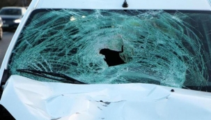 Beşiktaş'ta feci kaza! Acı haber: Hayatını kaybetti