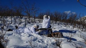 Bingöl'de 'Eren Kış-16 Şehit Jandarma Binbaşı Adil Karagöz Operasyonu' başlatıldı
