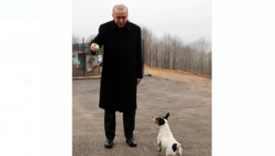  Cumhurbaşkanı Erdoğan Barınağın Maskotu Maylo ile oynadı