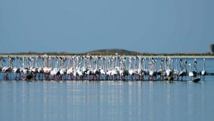 Cumhurbaşkanı Erdoğan'ın imzasıyla yayınlandı: 'Kesin korunacak hassas alan' ilan edildi