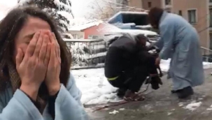 Elektrik akımına kapılan köpekten acı haber... Sahibi gözyaşlarını tutamadı