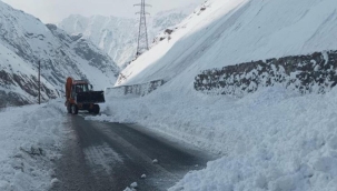 Hakkari-Van karayolunda çığ: Hemen çalışma başlatıldı