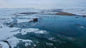 İç Anadolu'nun karla kaplı 'kuş cenneti' doğaseverleri ağırlıyor