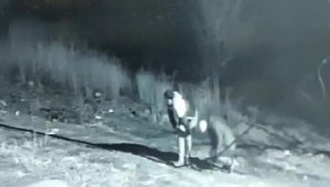 İletişim Kablosu hırsızlığına 3 gözaltı