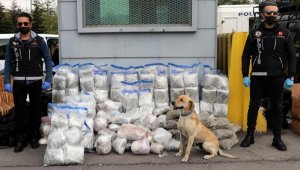 'Jack' ve 'Athena', uyuşturucu ticaretine geçit vermiyor