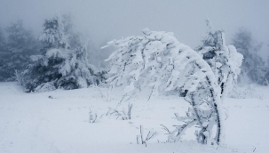 Kar bugün birçok ilde eğitimi aksattı! İşte tatil olan iller