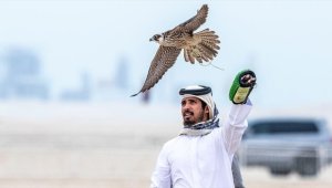 Katar'da kadim bir geleneğin yaşatıldığı etkinlik: Şahin Festivali