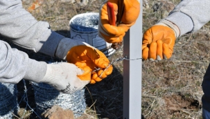 Kayseri OSB: 'Kaybettiklerimiz İçin Hatıra Ormanı'