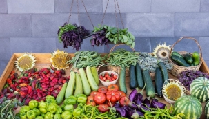 Kayseri'de 'organik tarım' eğitimi