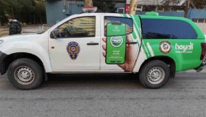 Kayseri'de bodrum katta bulunan Pitbull, barınağa götürüldü