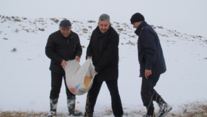 Kayseri'de pazar artıkları yaban hayvanlara yem oldu 