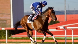 Kocaeli Başkanlık Kupası’nı “Cagner” kazandı