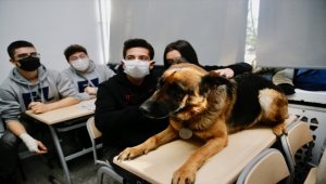 Liseyi mesken tutan can dostlar öğrencilerin gözdesi oldu