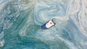 Marmara'da yeniden müsilaj beklenmiyor