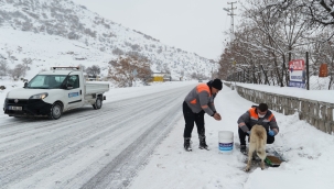 Melikgazi'de soğuk kış günlerinde sokak hayvanları unutulmadı
