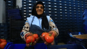 Muğla Büyükşehir, toptancı hal esnafına kefil oluyor