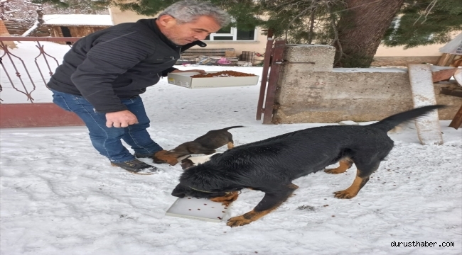 Nallıhan Kitap Okuma Platformu üyeleri sokak hayvanlarını besledi