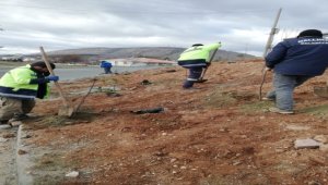 Nallıhan'da fidanlar toprakla buluşturuldu