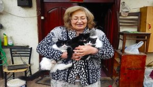 Nallıhanlı Tülay Yalçın evinde 40 kedi ile yaşıyor 