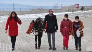 Öğretmenler "eşekli kütüphane" ile vatandaşları kitapla buluşturuyor