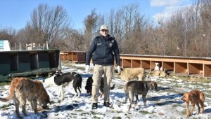 Polis memuru 'can dostlar'a daha iyi bakmak için veteriner hekim oldu