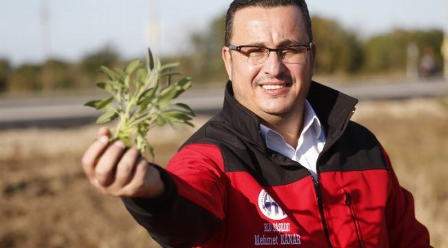 Proje ve teknik destek Bursa'da belediyeden, hibe TKDK’dan