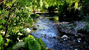 Sakarya'da Maden Deresi turizm cennetine dönüşecek 