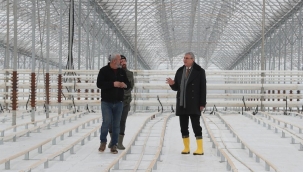 Sakarya'da tarımda örnek olacak proje yüzde 85’e ulaştı