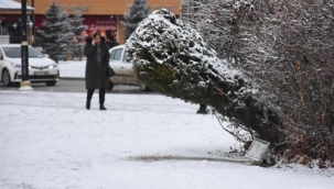 Sivas'ta yoğun kar: 170 yerleşim yeri yolu kardan kapandı