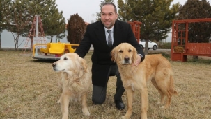 Sokaklara terk edilen hayvanlara Niğde Belediyesi sahip çıkıyor
