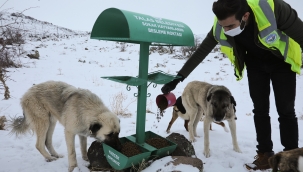 Talas'tan Can dostlara şefkat eli