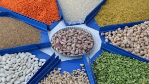 Tarım sektörü 2021 yılını rekor ihracatla tamamladı