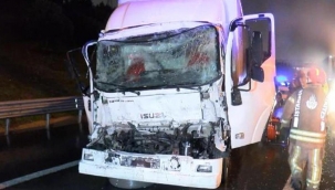 TEM Otoyolu'nda TIR, kargo kamyonuna arkadan çarptı
