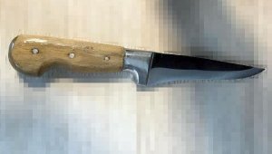 Adliyeye bıçakla girmek isterken yakalandı