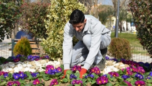 Balıkesir Edremit bahara erken girdi