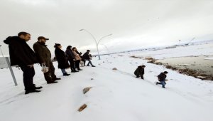 Beyşehir'de üniversite öğrencileri göl kıyısındaki su kuşlarını yemledi